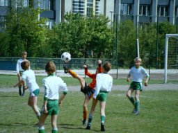 0DIA 1984 RAVA PUPS 1